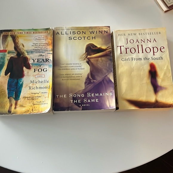 3 Used Novels, Fiction Books Bestseller Stories adult, proficient reading level - Picture 1 of 16